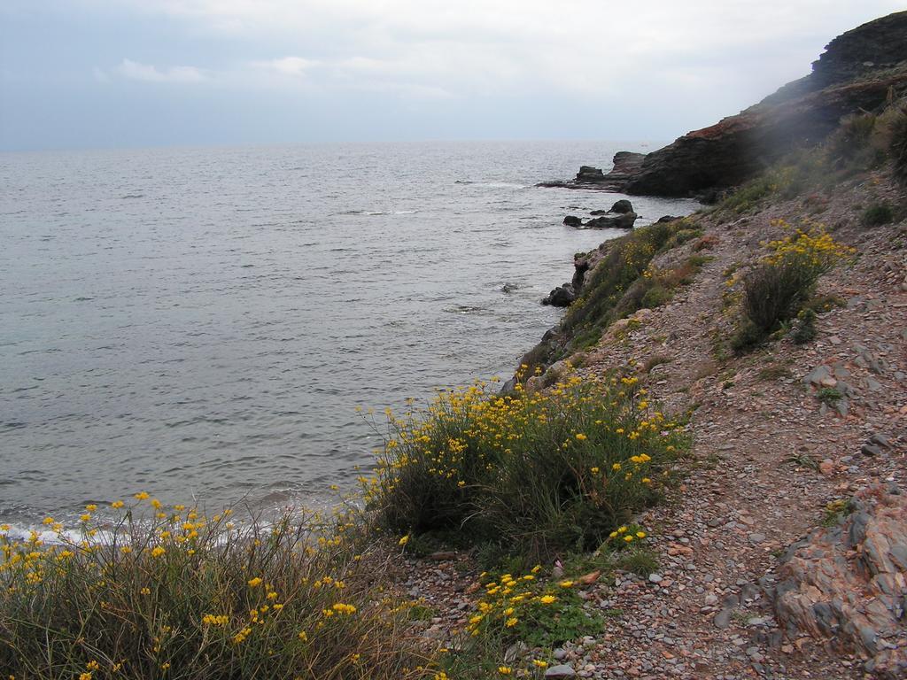 Apartamento Cala Reona Daire Cabo de Palos Dış mekan fotoğraf